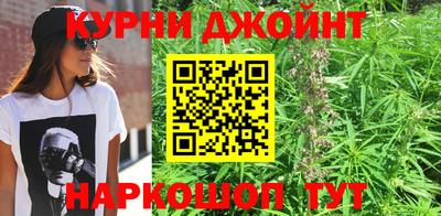крисы Ливны