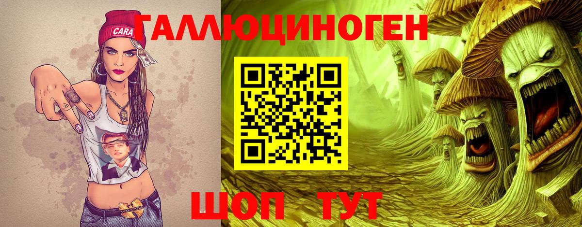 Бердск  Галлюциногенные грибы Magic Shrooms  Псилоцибиновые грибы GOLDEN TEACHER  Вход с VPN 